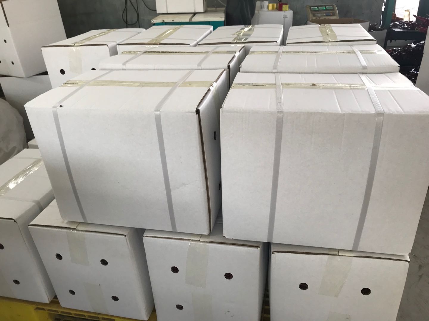 25LB Carton Packing