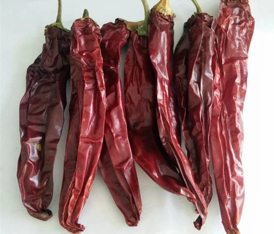 sweet paprika pods 